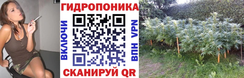 цены   Нижняя Салда  Бошки Шишки LSD WEED 
